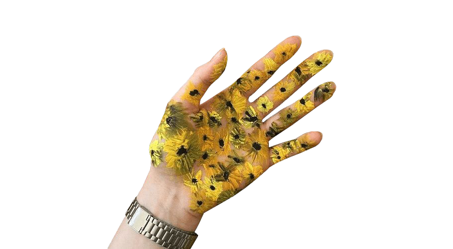 Art Aesthetic Transparent PNG Image