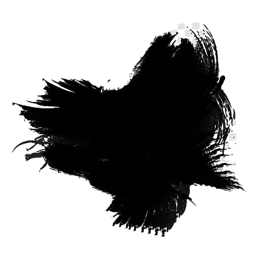 Art Black Brush Transparent PNG Image