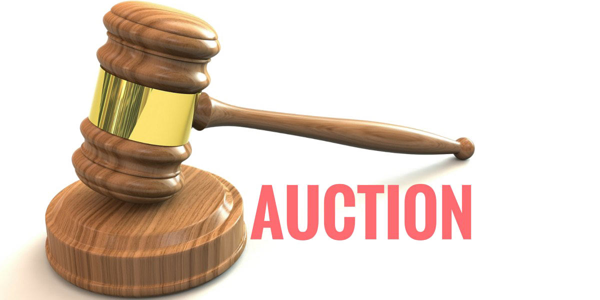 Auction Transparent PNG Image