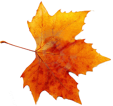 Autumn Transparent PNG Image