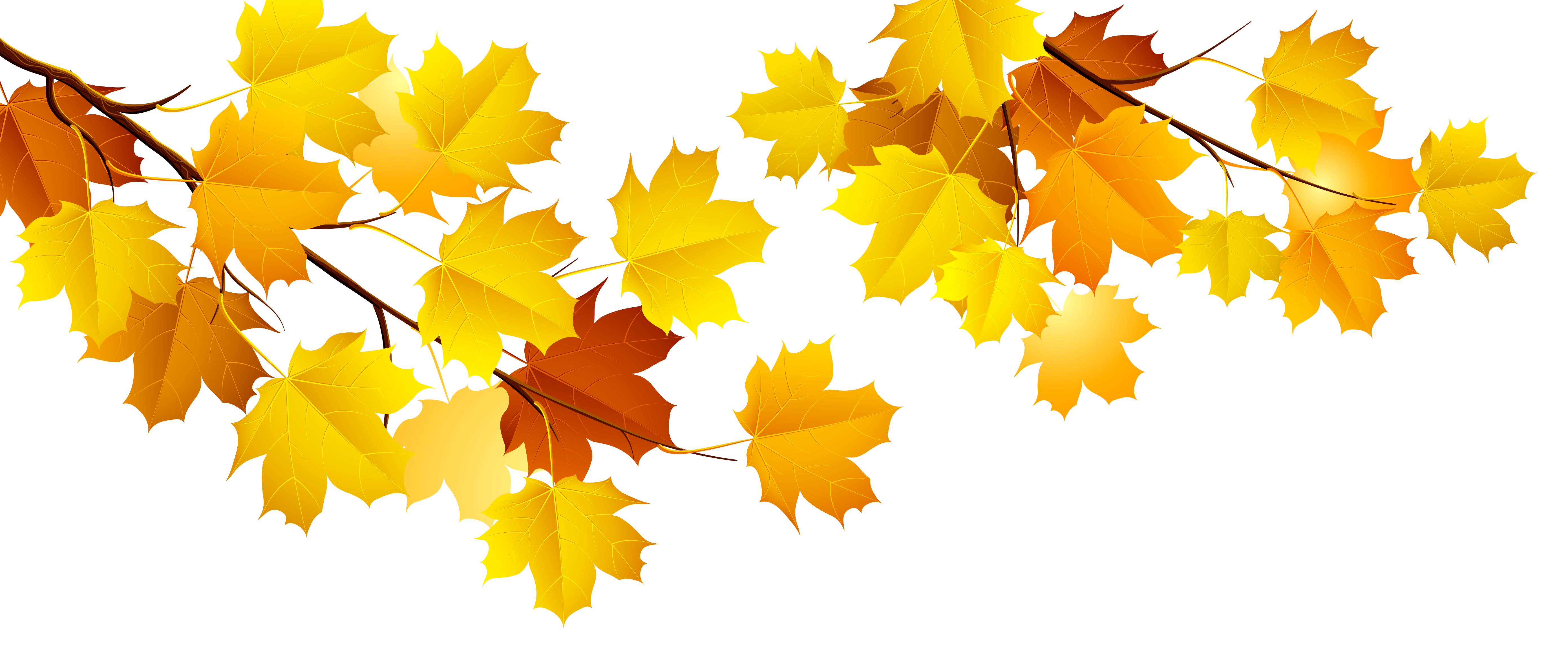 Autumn Transparent PNG Image