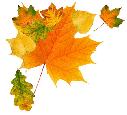 Autumn Transparent PNG Image