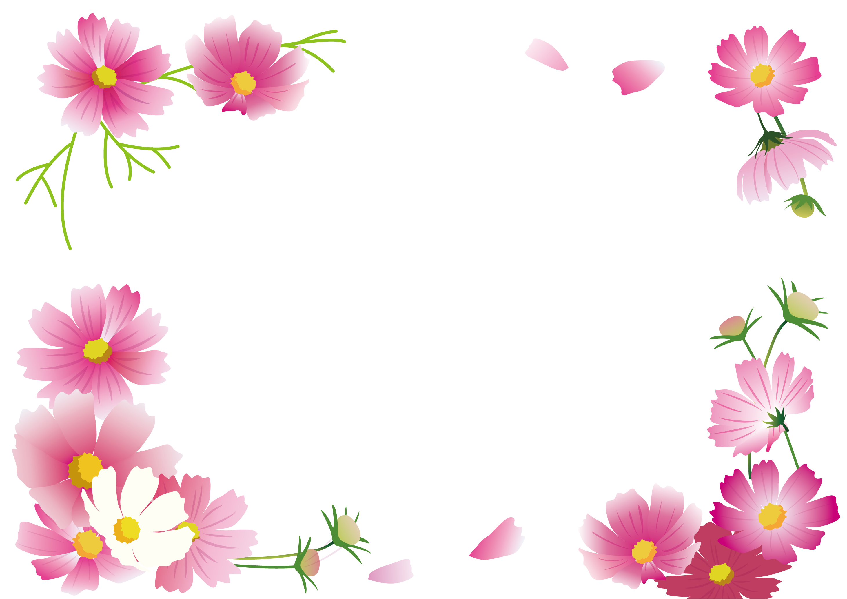 Flower Frame Autumn Others Cosmos Png.Png Transparent PNG Image