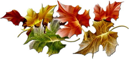 Autumn Transparent PNG Image