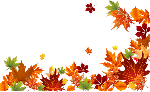 Autumn Falling Vector Leaf Transparent PNG Image