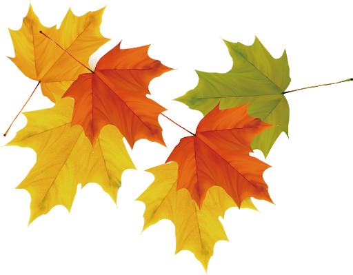 Autumn Falling Vector Leaf Transparent PNG Image