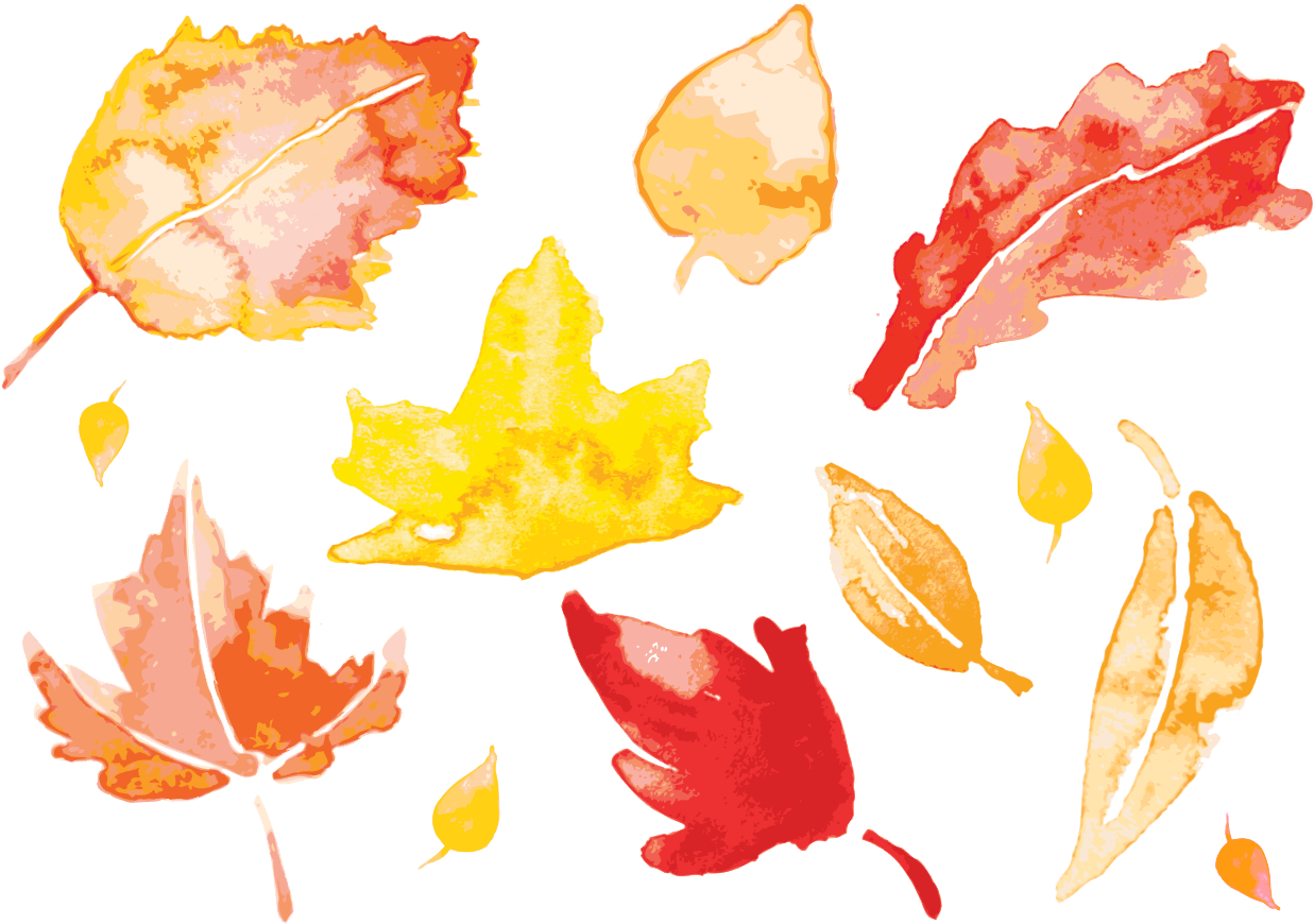 Autumn Falling Vector Leaf File Transparent PNG Image