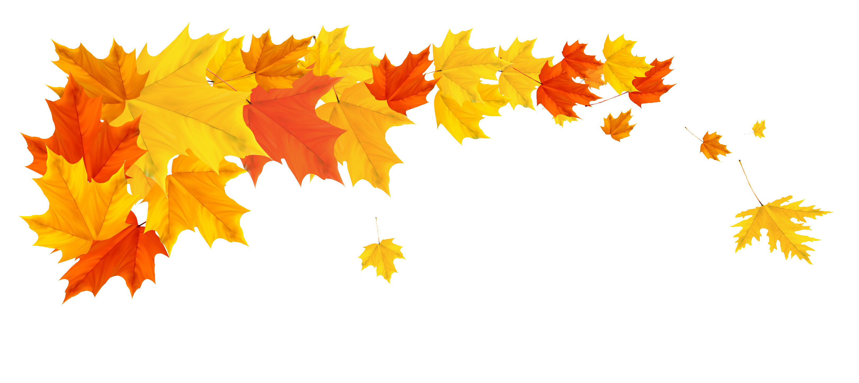 Autumn Falling Vector Leaf Transparent PNG Image
