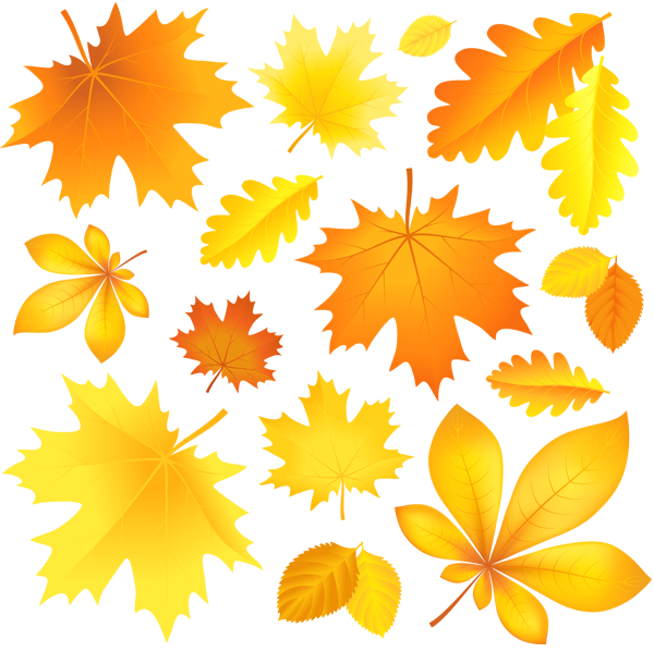 Autumn Falling Vector Leaf Transparent PNG Image
