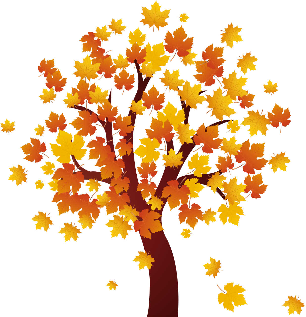 Autumn Falling Vector Leaf Transparent PNG Image