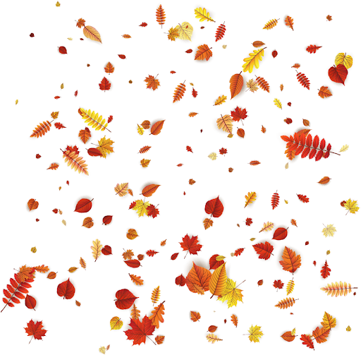 Autumn Falling Vector Leaf Transparent PNG Image