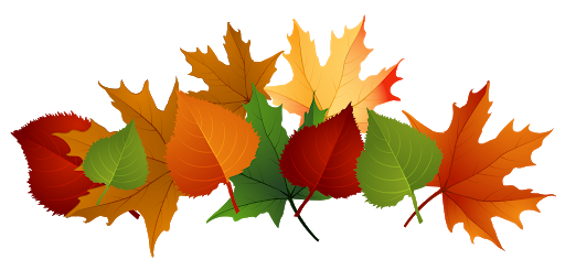 Autumn Falling Vector Leaf Transparent PNG Image