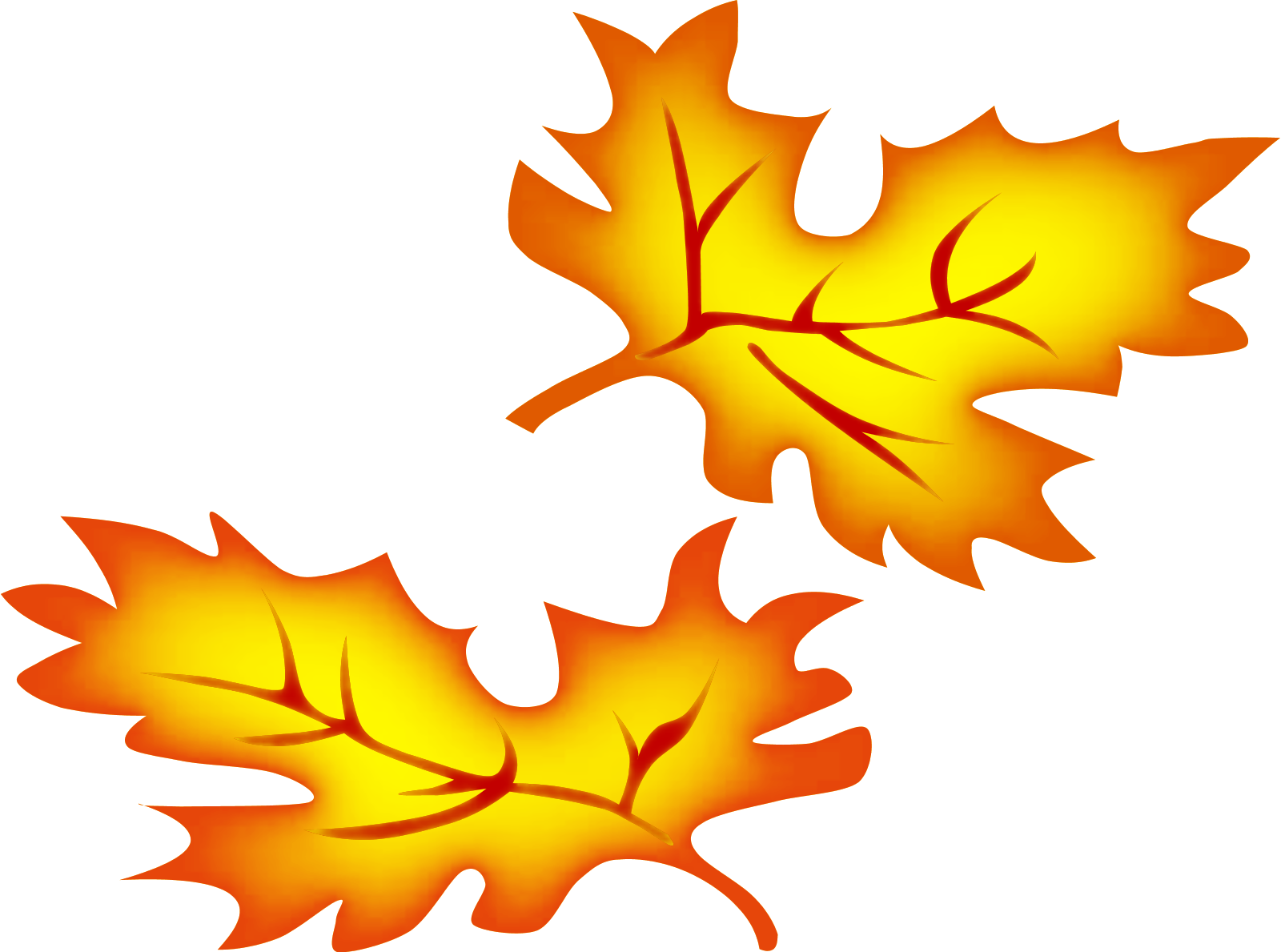 Autumn Falling Vector Leaf Transparent PNG Image