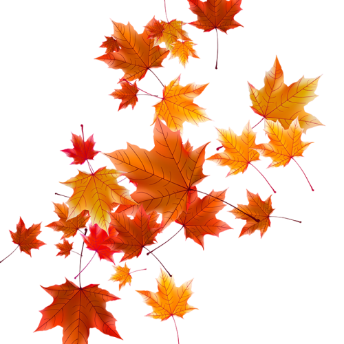 Autumn Falling Vector Leaf Transparent PNG Image