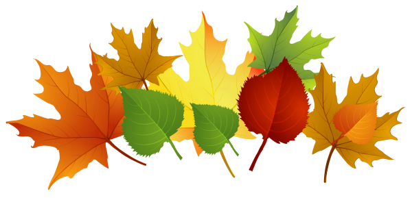 Autumn Vector Leaf Transparent PNG Image