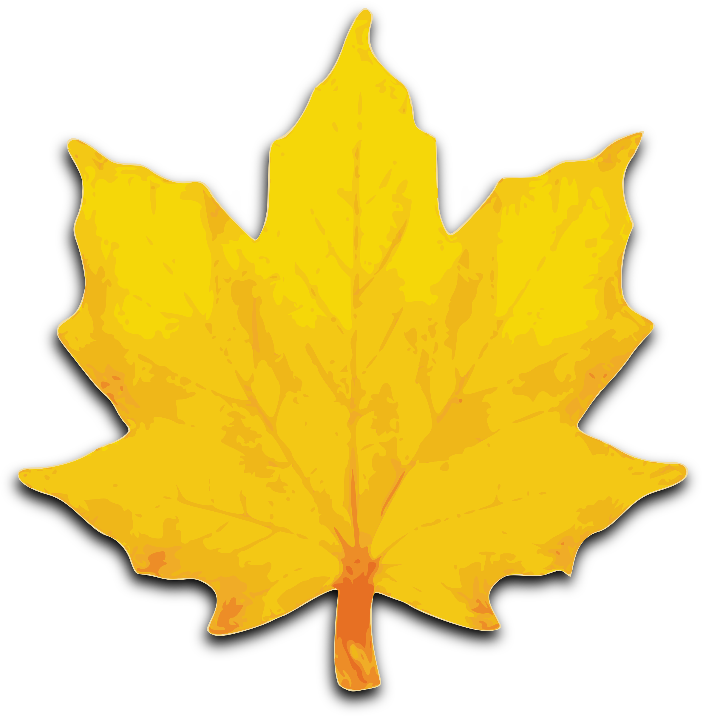 Autumn Vector Leaf Transparent PNG Image