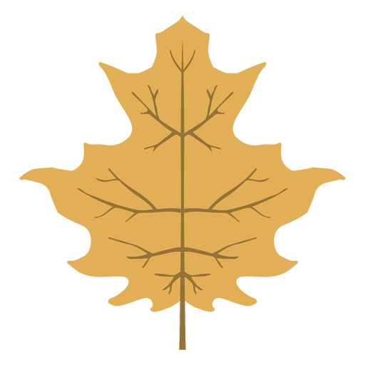 Autumn Vector Leaf Transparent PNG Image