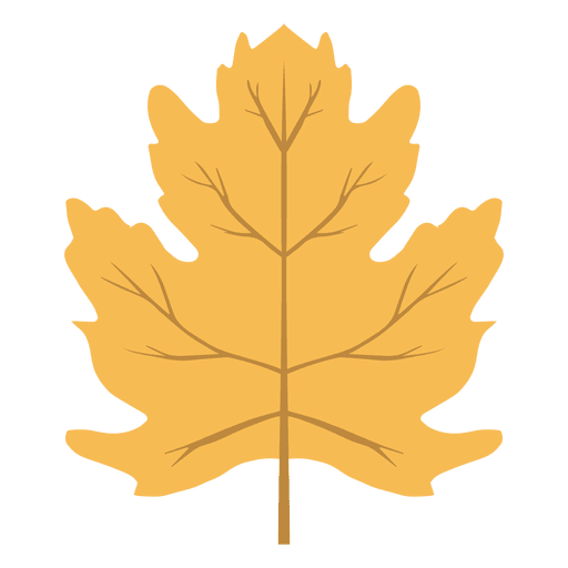 Autumn Vector Leaf Transparent PNG Image