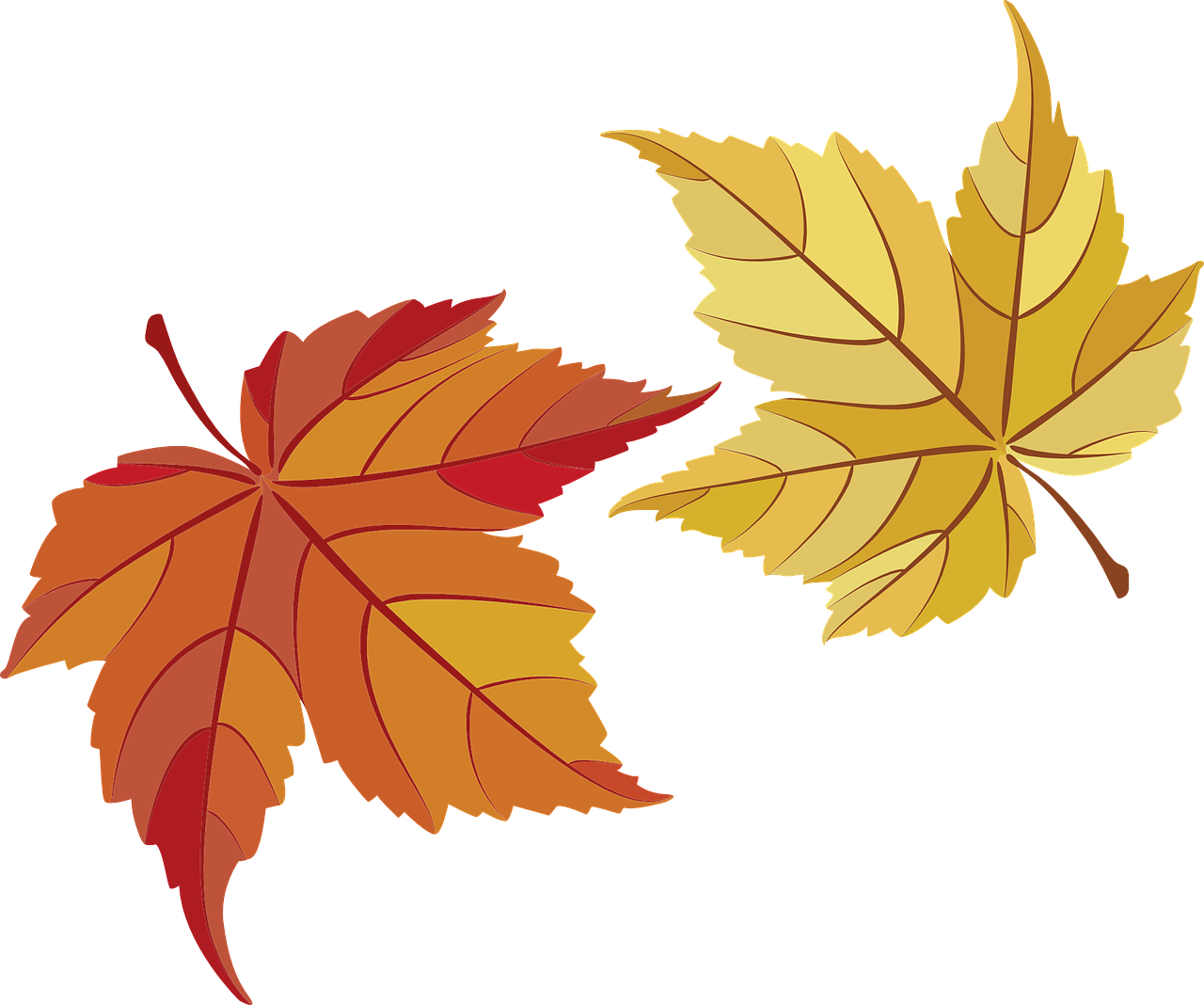 Autumn Golden Leaf Transparent PNG Image