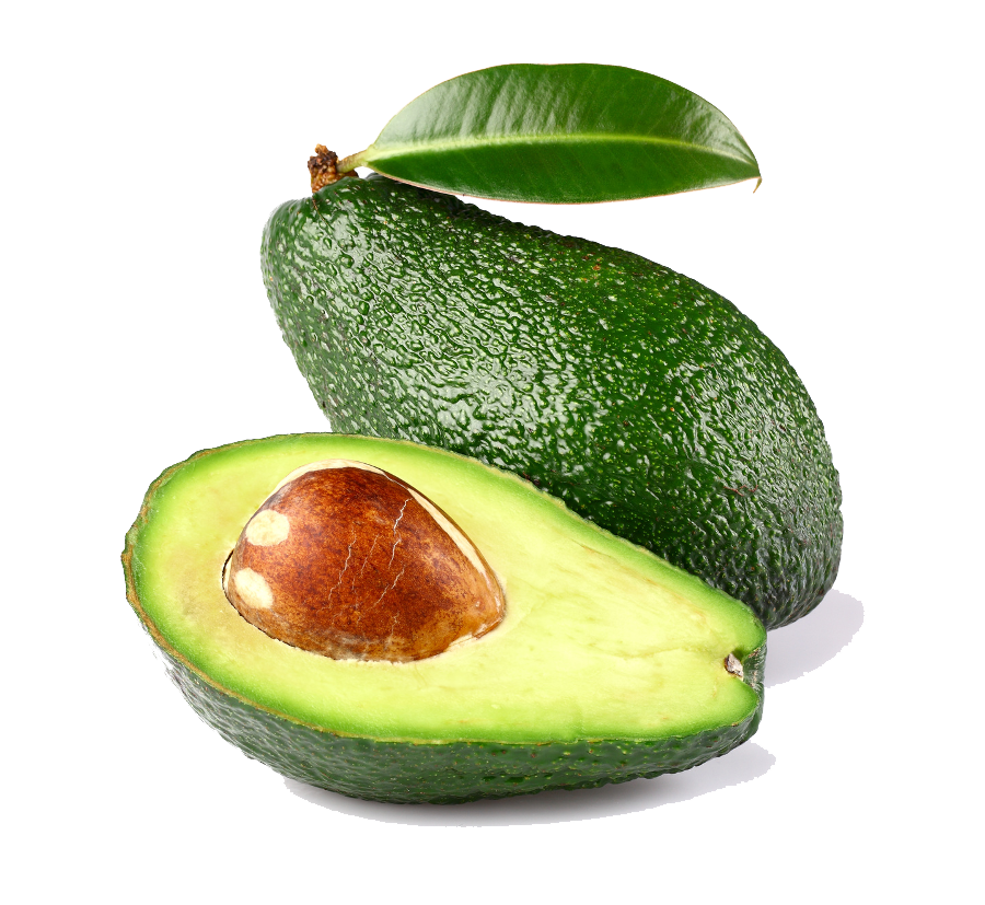Avocado Half File Transparent PNG Image