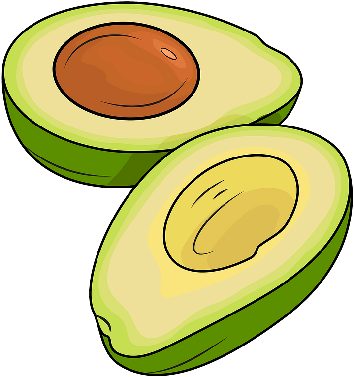 Vector Avocado Transparent PNG Image