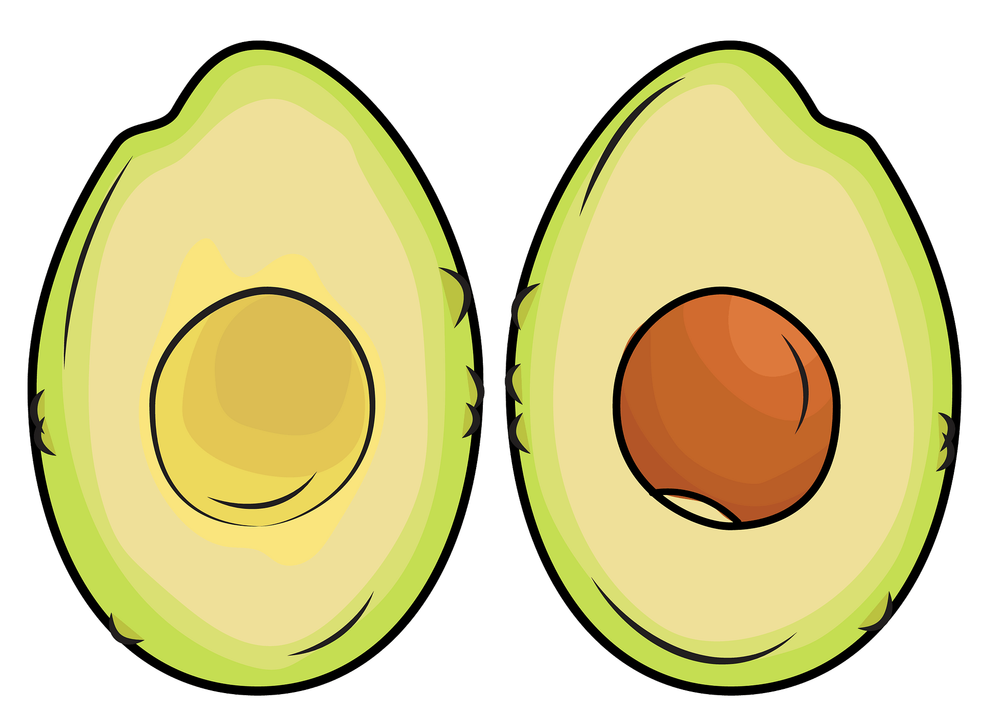 Vector Avocado Transparent PNG Image