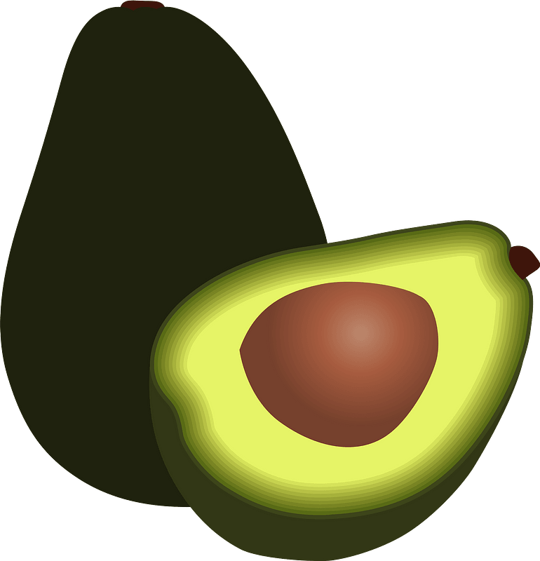 Vector Avocado Transparent PNG Image