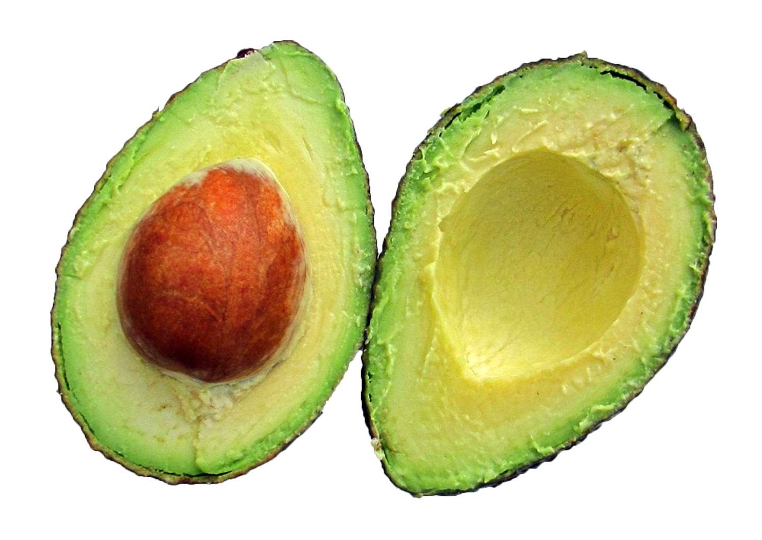 Avocado Transparent PNG Image