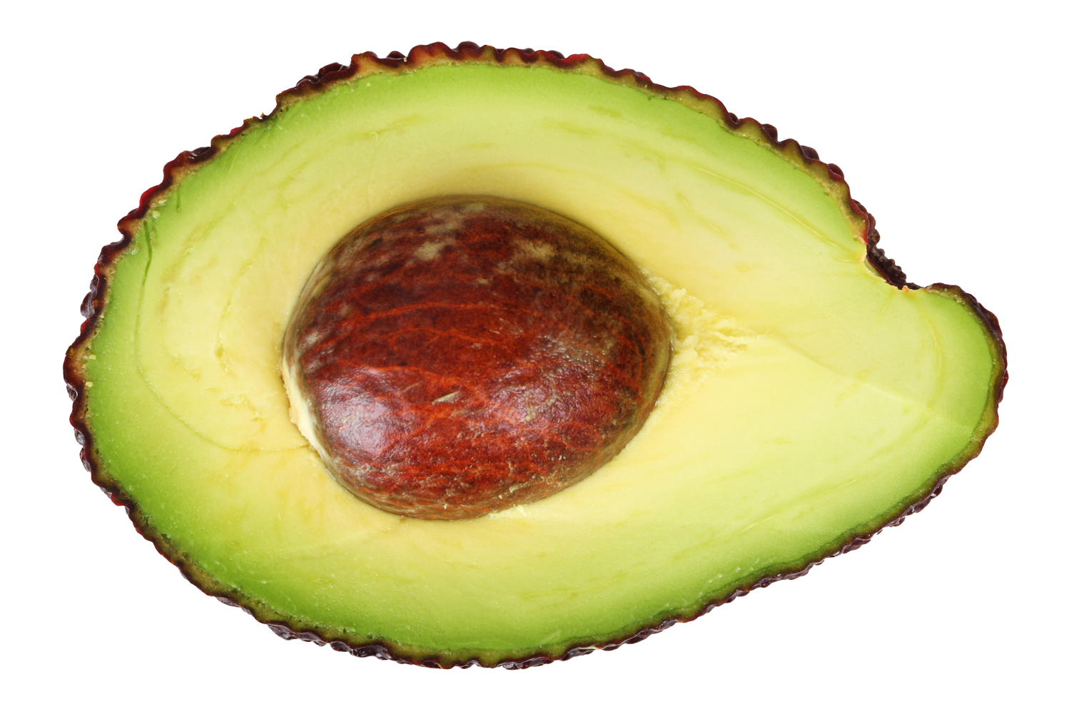 Avocado Transparent PNG Image