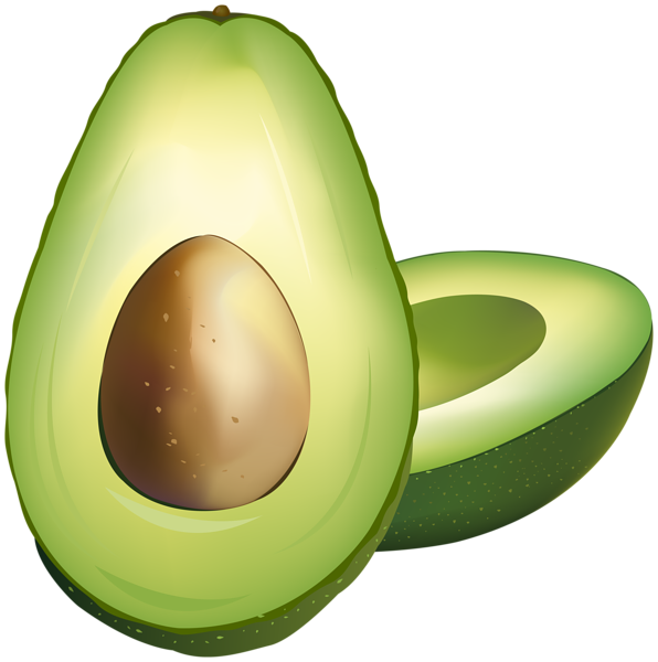 Vector Avocado Transparent PNG Image