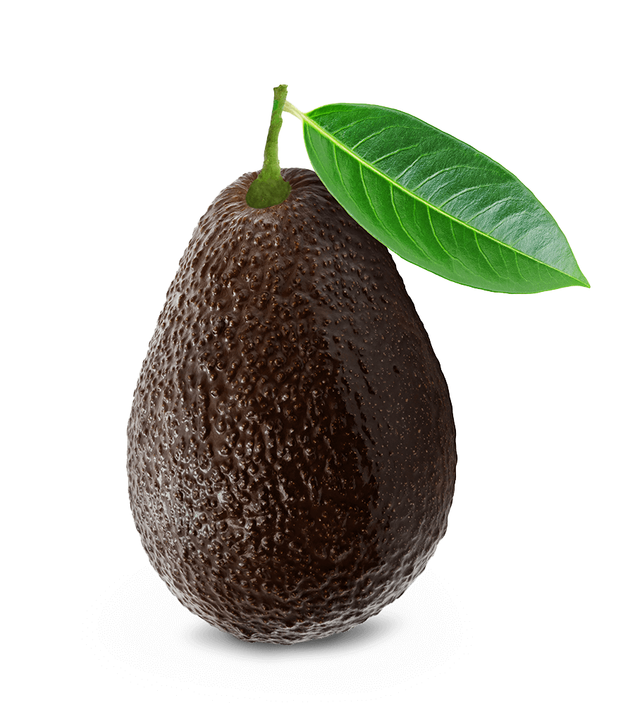 Avocado Transparent PNG Image