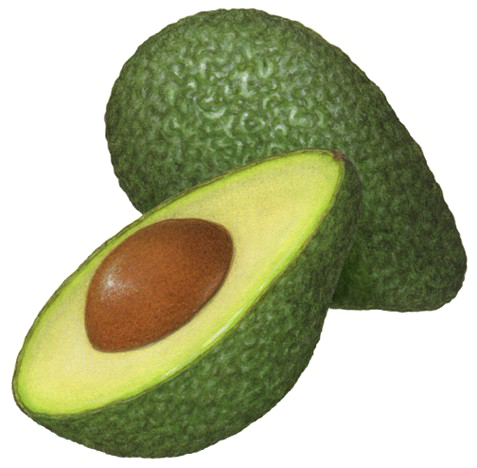 Half Avocado Transparent PNG Image