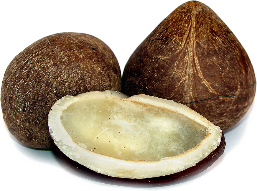 Half Coconut Transparent PNG Image