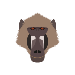 Baboon Transparent PNG Image