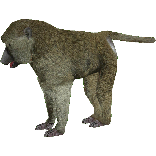 Baboon Transparent PNG Image