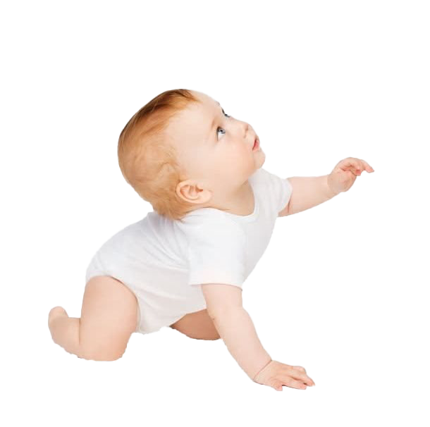 Baby Transparent PNG Image