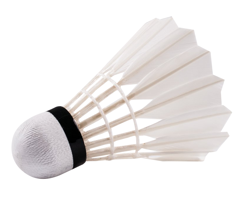Badminton Birdie Transparent PNG Image