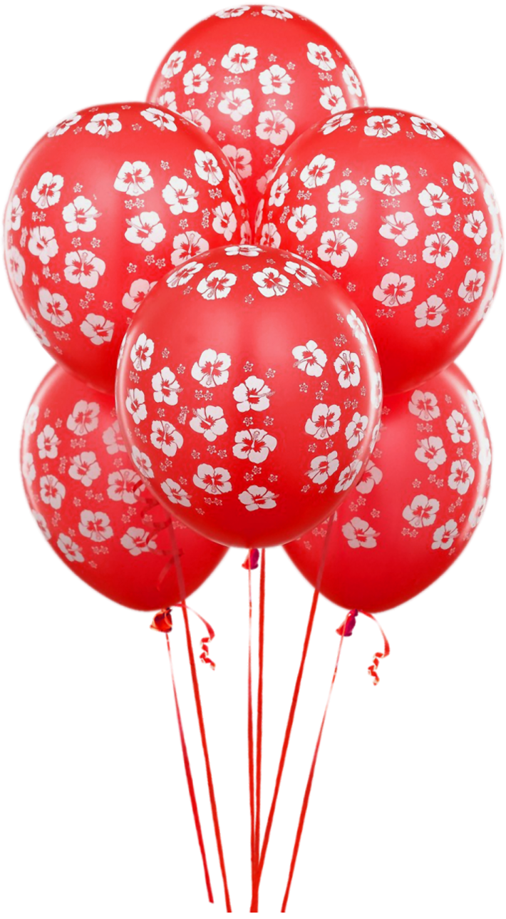 Balloon Birthday Balloons Red Transparent PNG Image