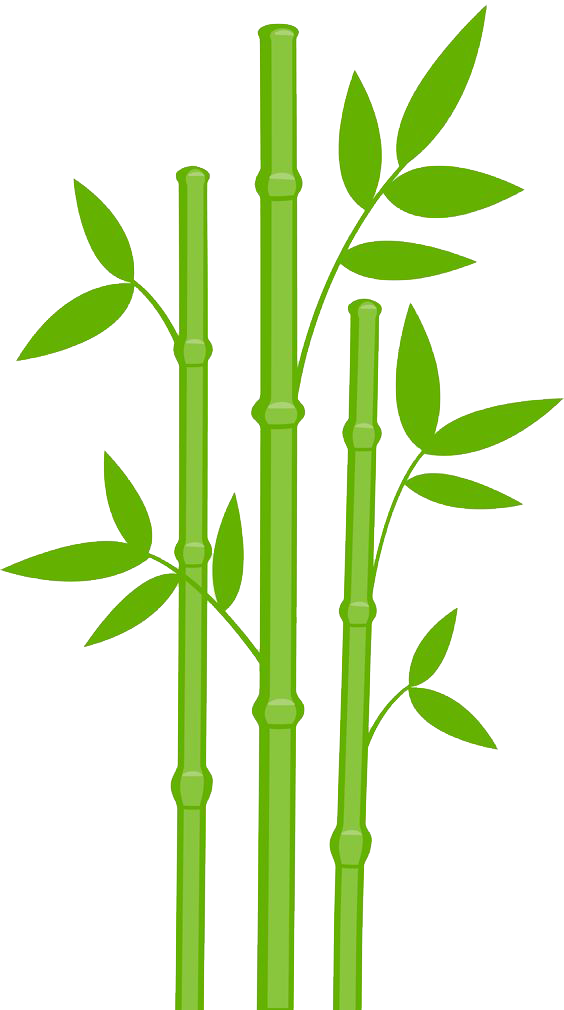 Bamboo Transparent PNG Image