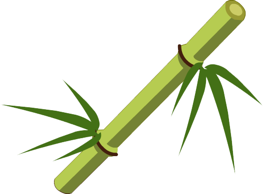 Bamboo Stick Transparent PNG Image