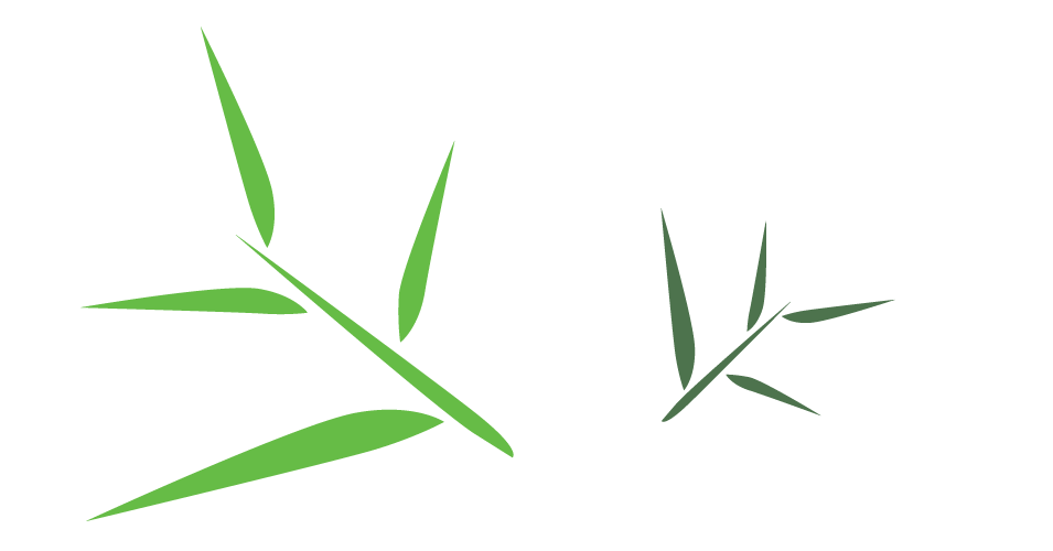 Bamboo Leaf Transparent PNG Image
