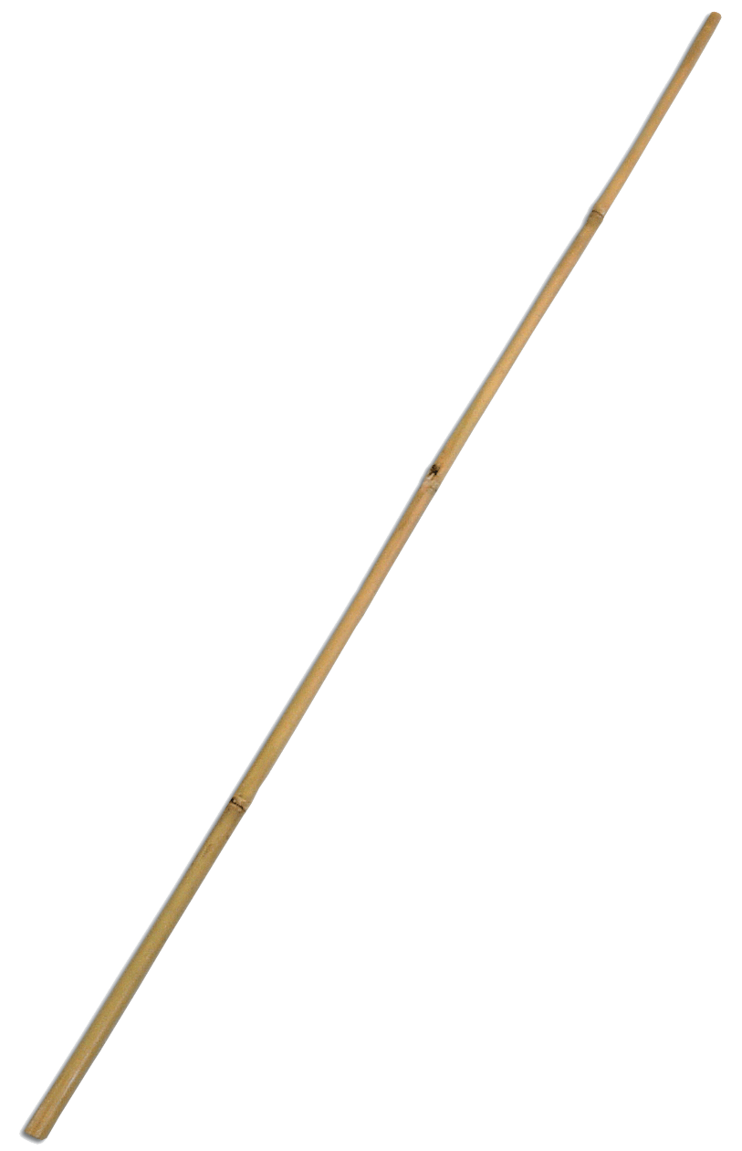 Bamboo Stick Transparent PNG Image