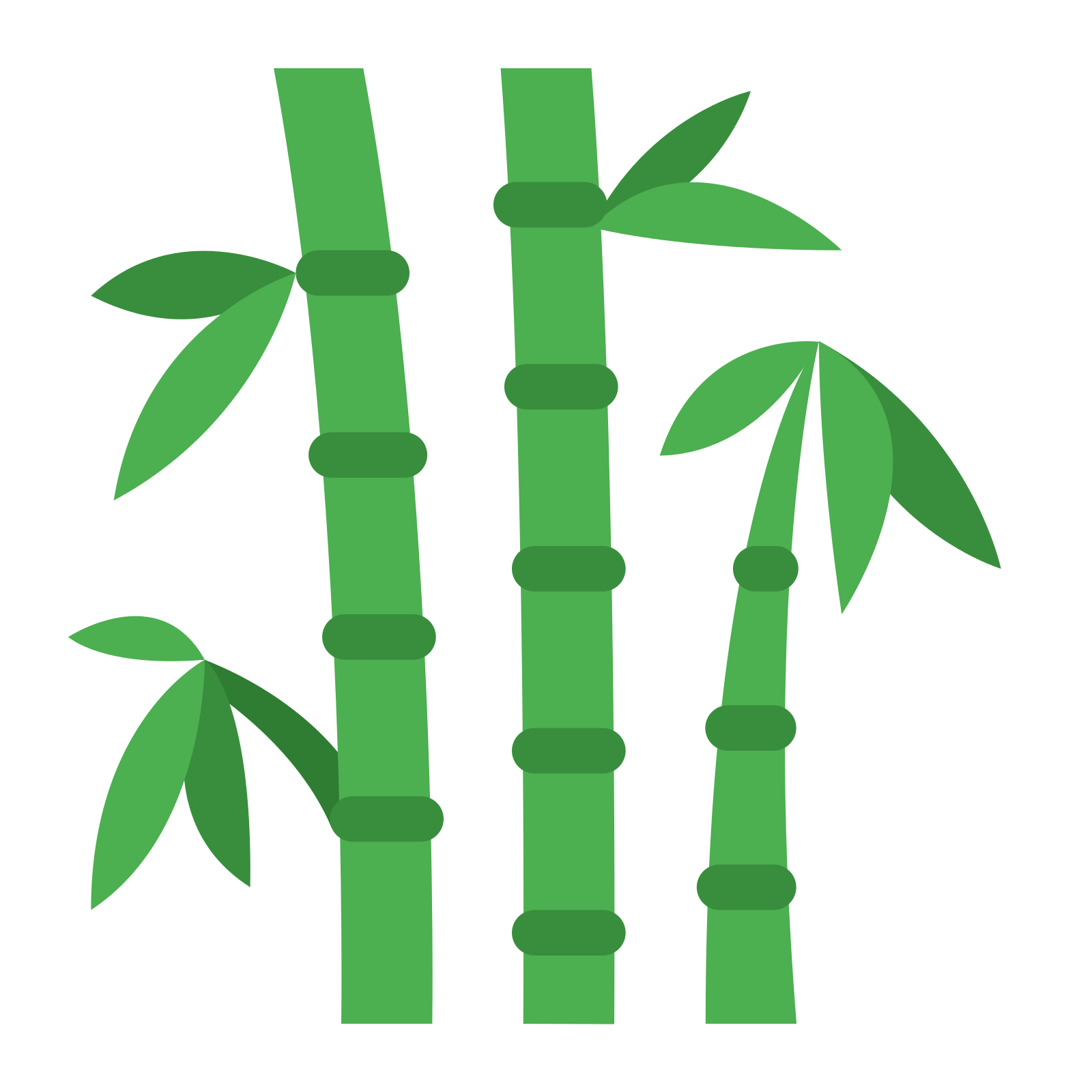 Bamboo Leaf Transparent PNG Image