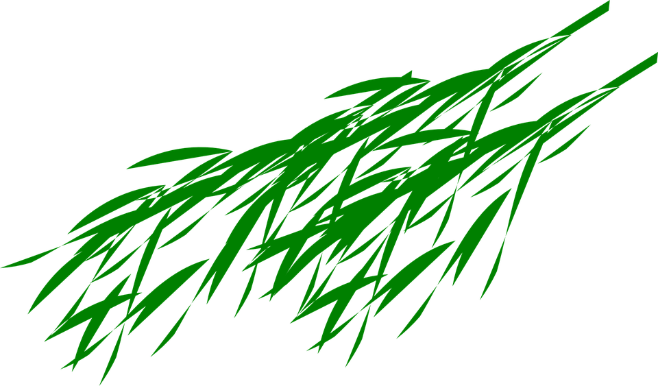 Bamboo Leaf Transparent PNG Image