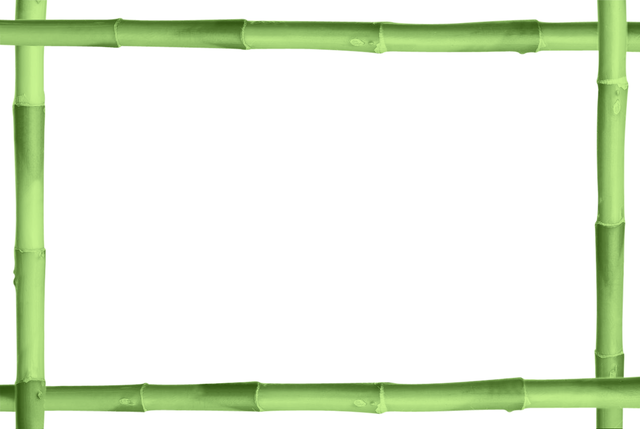 Bamboo Stick Transparent PNG Image