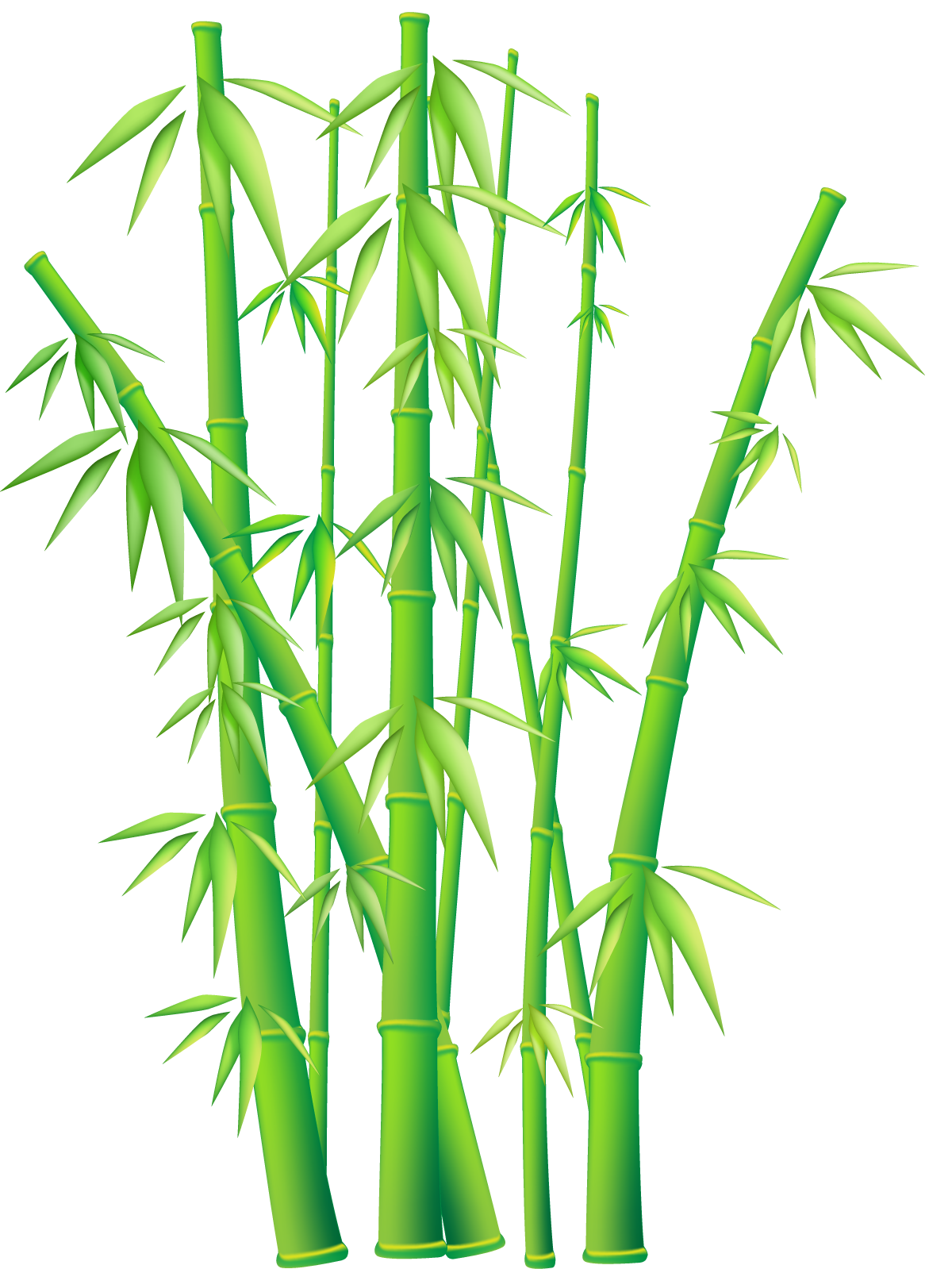 Bamboo File Transparent PNG Image