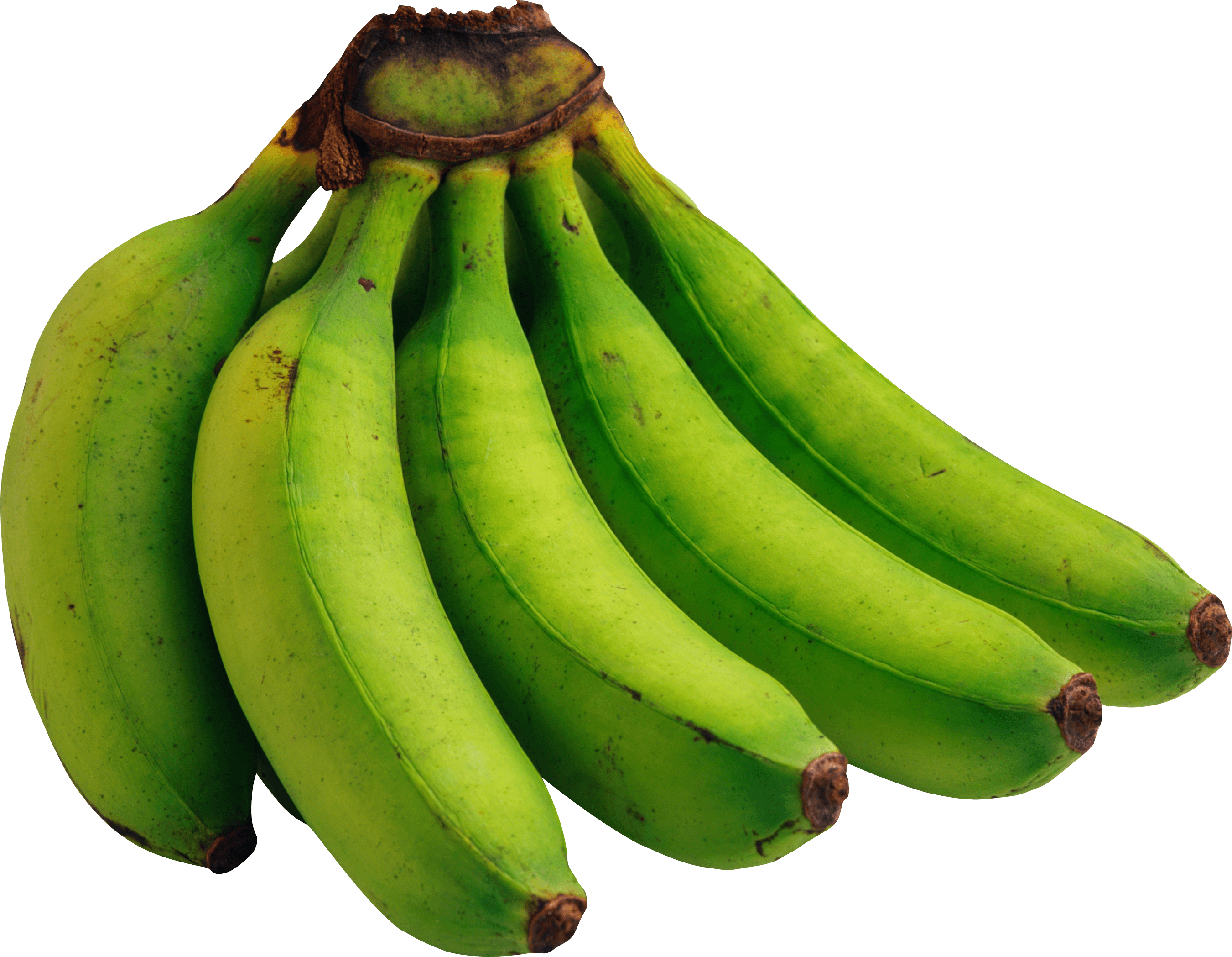 Green Bananas Transparent PNG Image
