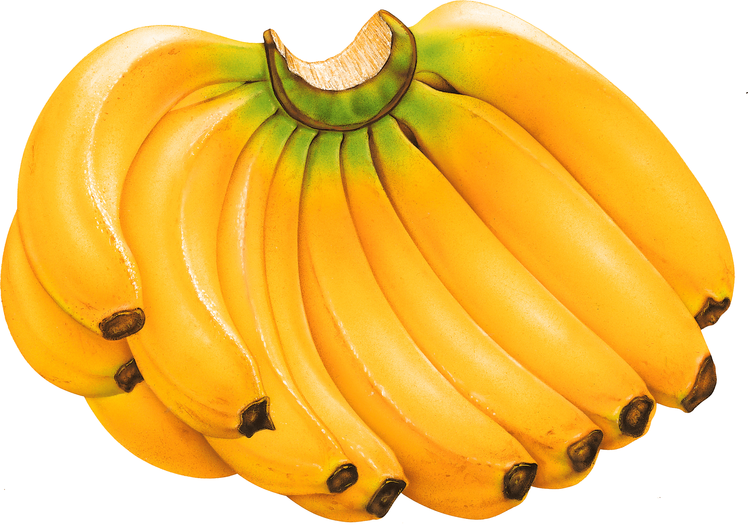 Banana Transparent PNG Image