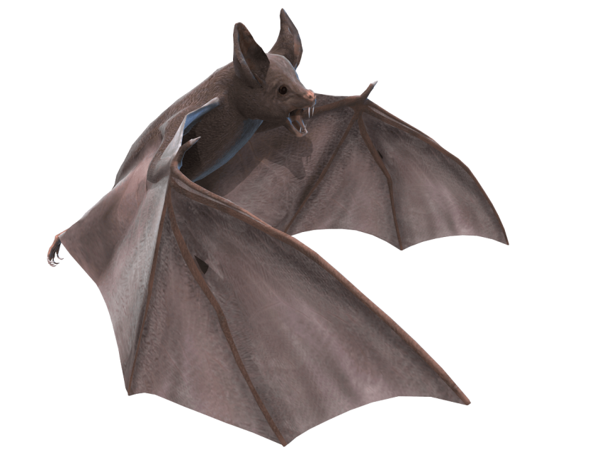 Bat Flying Transparent PNG Image