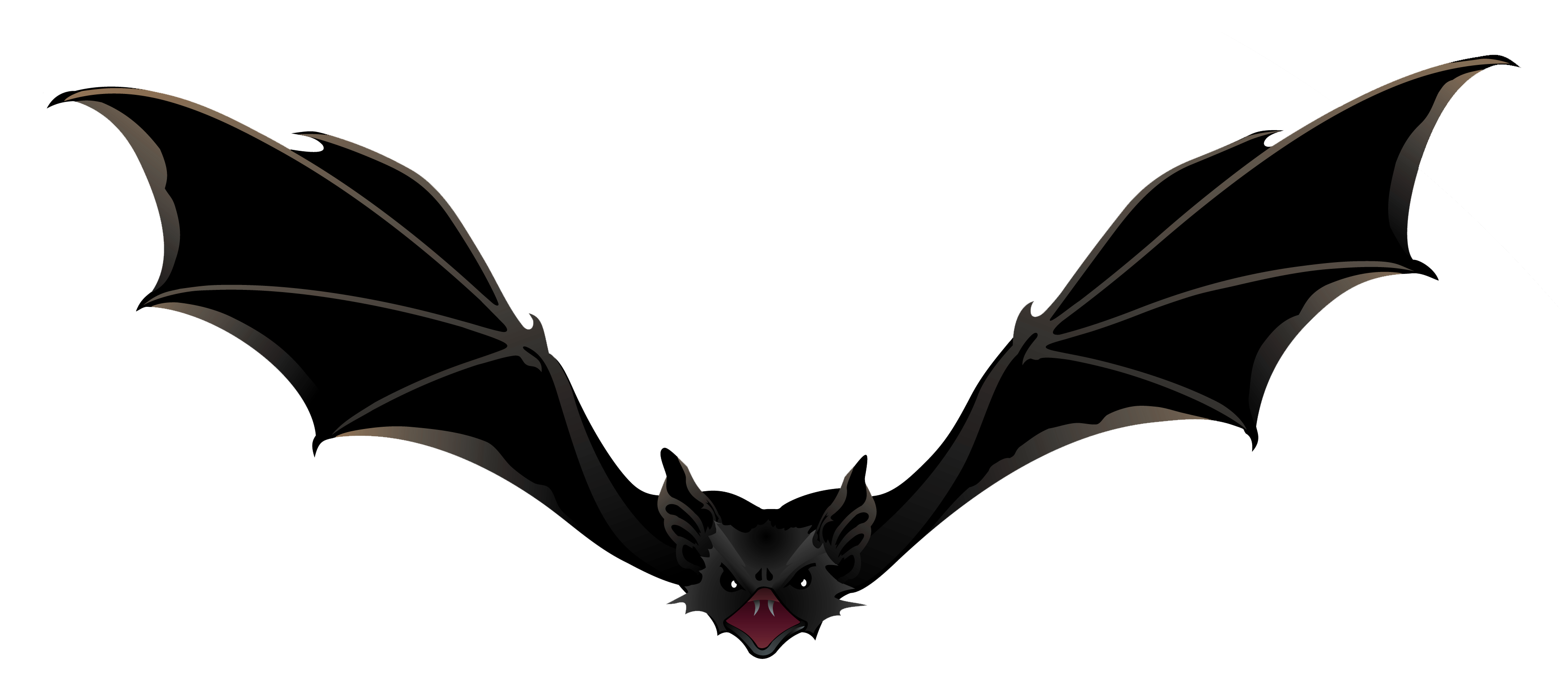 Bat Vector Transparent PNG Image